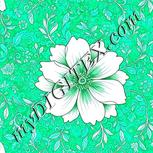 Colour:C