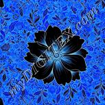 Colour:F