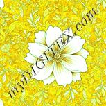 Colour:K