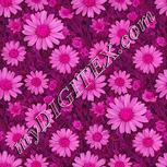 Colour:B