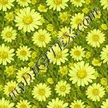 Colour:K