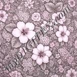 Colour:B