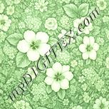Colour:K