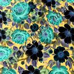 Colour:F