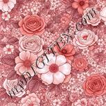 Colour:B