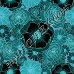 Colour:F