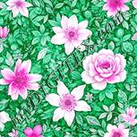 Colour:B