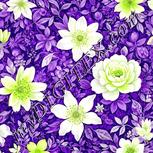 Colour:D