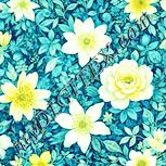 Colour:K