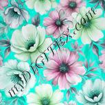 Colour:C