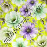Colour:D