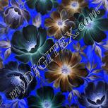 Colour:F