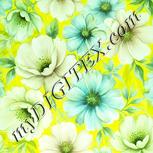 Colour:K