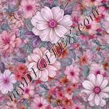 Colour:B