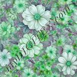 Colour:C