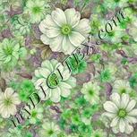 Colour:D