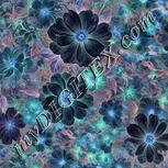 Colour:F