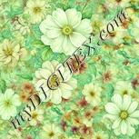Colour:K