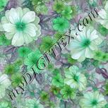 Colour:C