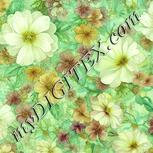 Colour:K