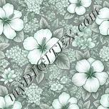 Colour:C