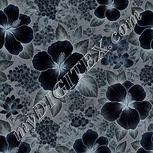 Colour:F