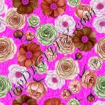 Colour:B