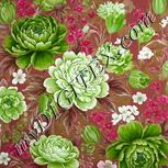 Colour:C