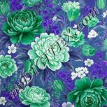 Colour:D
