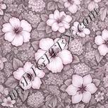 Colour:B
