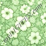 Colour:K