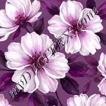 Colour:B