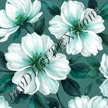 Colour:C