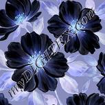 Colour:F