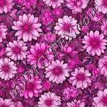 Colour:B