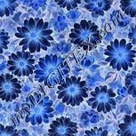 Colour:F