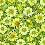 Colour:K