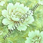 Colour:K