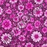 Colour:B