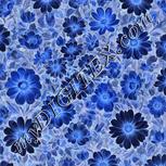 Colour:F