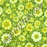 Colour:K