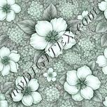 Colour:C