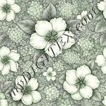 Colour:D