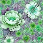 Colour:C
