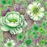 Colour:D