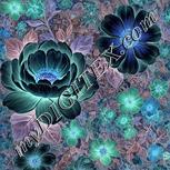 Colour:F