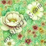 Colour:K