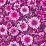 Colour:B