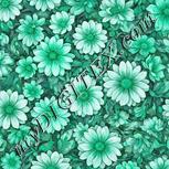 Colour:C