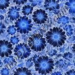 Colour:F